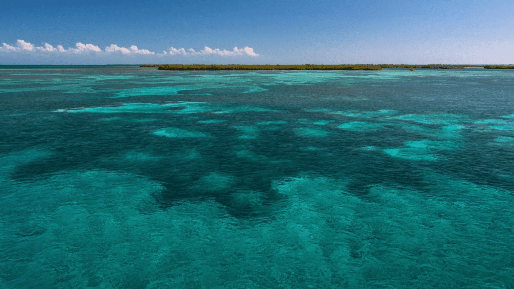 Jardines de la Reina, Cuba,best diving destination in the Caribbean
